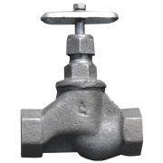 Клапан запорный чугун 15кч18п1 Ду 20 Ру16 ВР/ВР