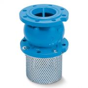 Клапан обратный чугун СС3241 Ду 80 Ру16 фл донный Tecofi