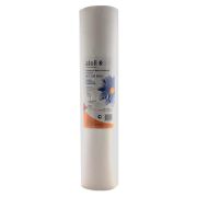 Картридж механический МП-50В ВВ20 Big Blue 20